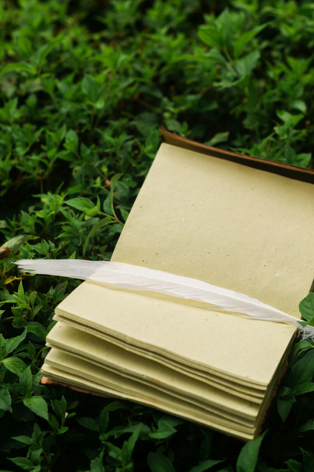 Cuaderno abierto con una pluma estilográfica sobre un escritorio